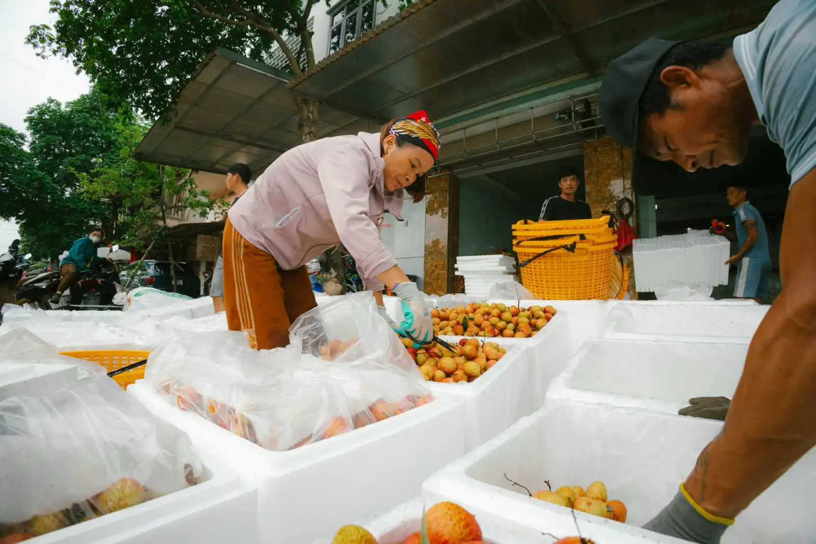 秦皇岛五金建材批发市场2025年供需趋势与选品策略分析